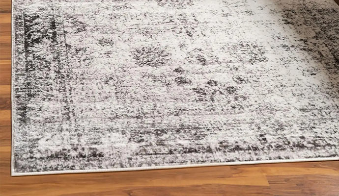 Pet damaged rug